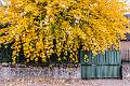 2015_10_27 (0078)